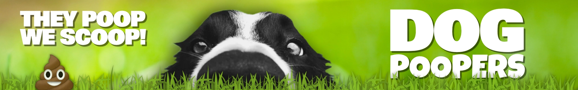 Mississippi Dog Pooper Scooper service